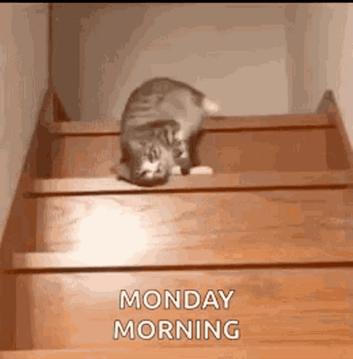 Happy Monday Lazy Cat GIF