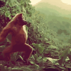 Happy Monkey Dancing Swaying Arms Tummy Out GIF