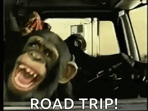 Happy Monkeys Road Trip GIF