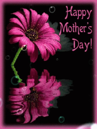 Happy Mother's Day Card With Pink Flower GIF