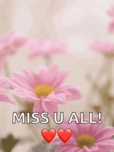 Happy Mother's Day Card With Pink Roses And Love You GIF