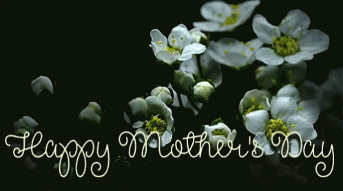 Happy Mother's Day Greeting With White Flowers