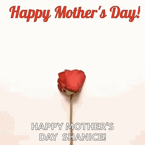 Happy Mother's Day Rose Petal Heart GIF