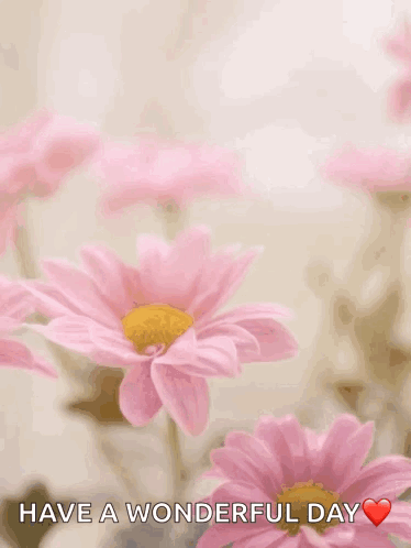 Happy Mothers Day Card with Pink Daisies