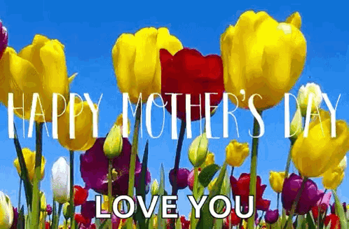 Happy Mothers Day Daughter In Law Colorful Tulips GIF