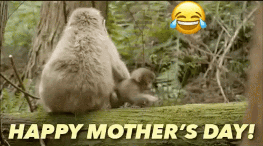 Happy Mothers Day Funny Monkey GIF
