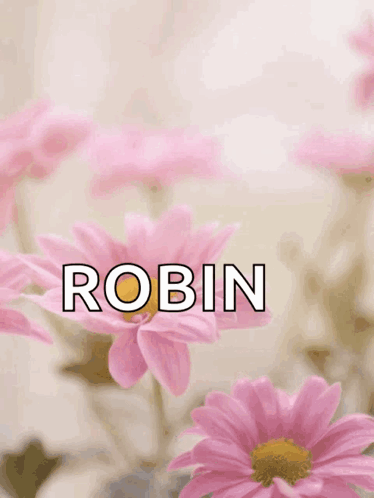 Happy Mothers Day Funny Pink Daisy GIF