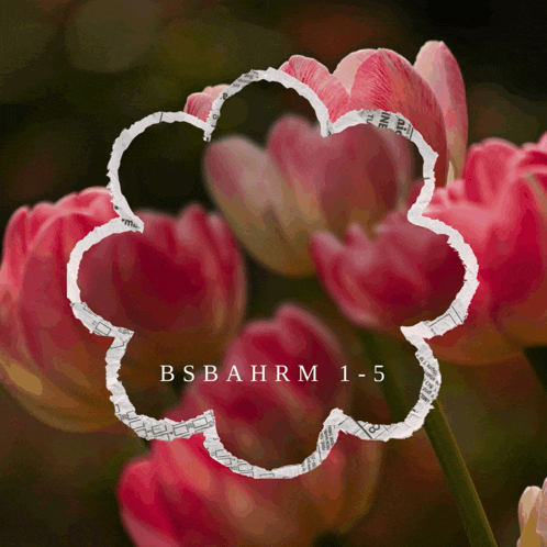 Happy Mothers Day Mothers Day Gif GIF