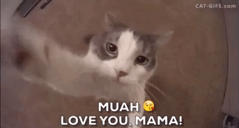 Happy Mothers Day Quotes Sweet Cat GIF