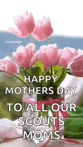 Happy Mothers Day Scouts Moms GIF