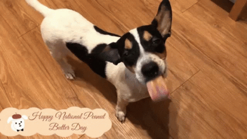 Happy National Butter Dog Day GIF
