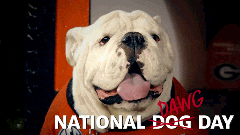 Happy National Dog Day White Bulldog GIF