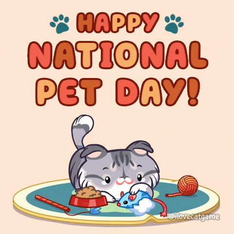Happy National Pet Day Moving Cat GIF