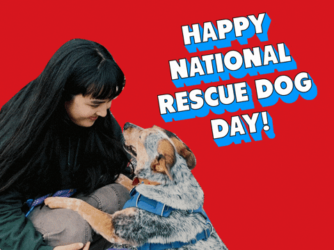 Happy National Rescue Dog Day GIF