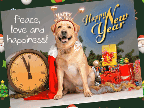 Happy New Year Dog Greeting Card
