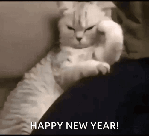 Happy New Year Meme Cute Little Cat GIF