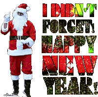 Happy New Year Santa Claus Sticker GIF