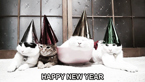 Happy New Year Sleepy Cats GIF