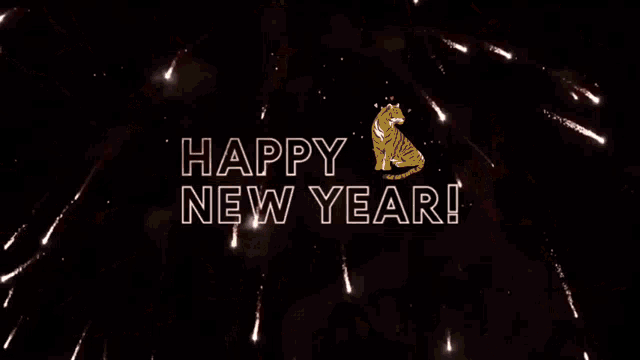 Happy New Year Sparkling Fireworks GIF