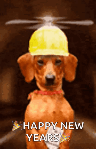 Happy New Year Wiener Dog GIF