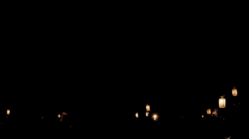 Happy New Years Dog Fireworks Form GIF