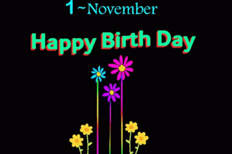 Happy November 1St Birthday GIF