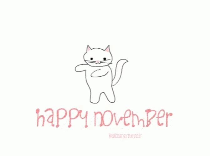Happy November 1St Dancing Cat GIF