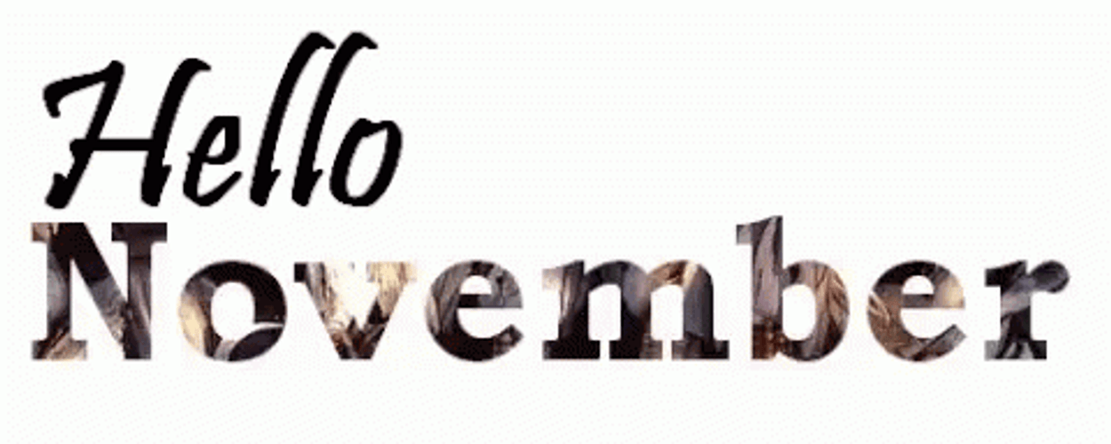 Happy November 1St Hello Text Animation GIF