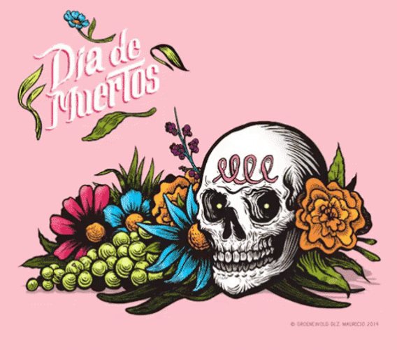 Happy November 1St Skeleton Head With Flowers GIF