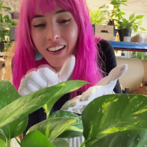 Happy Pink Haired Plant Addiction GIF