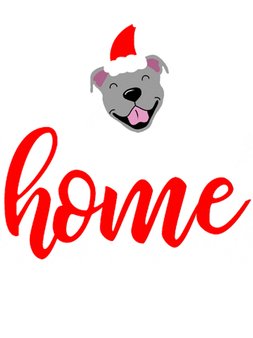 Happy Pitbull Home Christmas Dog GIF