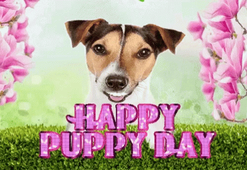 Happy Puppy Dog Day GIF