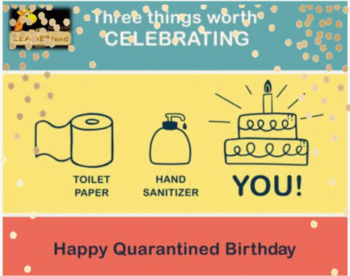 Happy Quarantined Birthday Card Toilet Paper Hand Sanitizer You