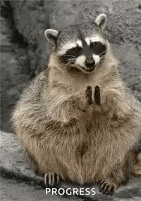 Happy Racoon In Progress GIF