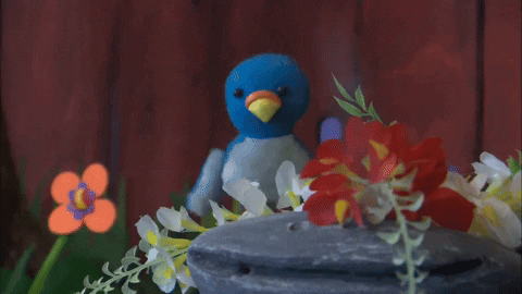 Happy Rainy Sunday Blue Bird GIF