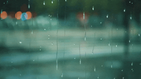 Happy Rainy Sunday Blurry GIF