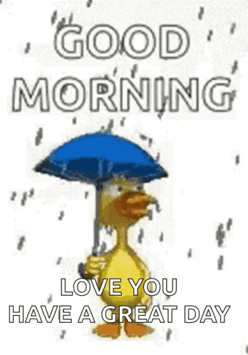 Happy Rainy Sunday Duckling GIF