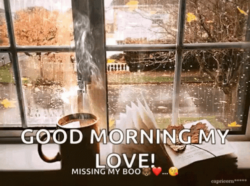 Happy Rainy Sunday Missing My Boo GIF