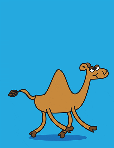 Happy Rainy Wednesday Camel GIF