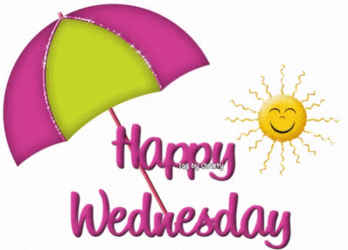 Happy Rainy Wednesday Shade GIF