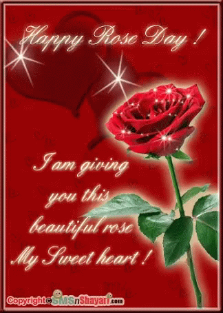 Happy Rose Day Card With Red Rose GIF