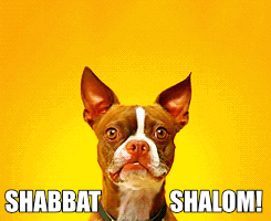 Happy Sabbath Dog Smile GIF