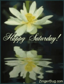 Happy Sabbath Flower Background GIF