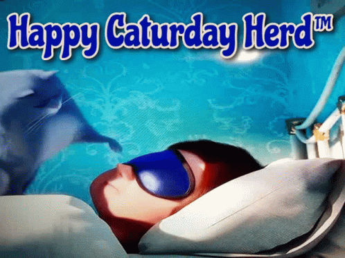 Happy Saturday Herd Cat