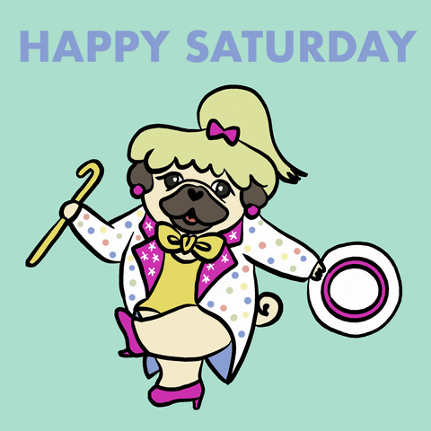 Happy Saturday Lady Pug GIF