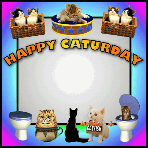 Happy Saturday Sign with Cats and Toilets