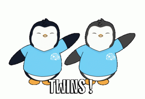 Happy Sister Day Penguin GIF