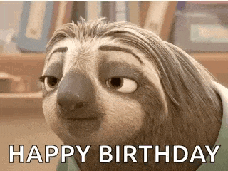 Happy Sloth Gif GIF
