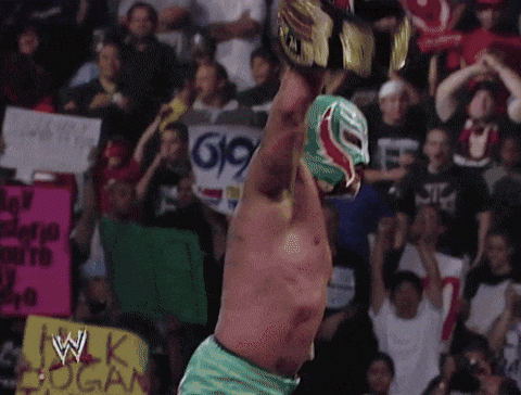 Happy Smackdown I Won GIF