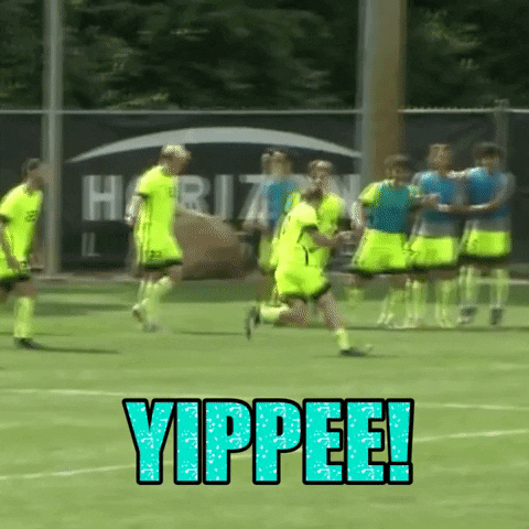 Happy Soccer Yippee Meme GIF